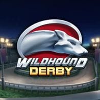 Wildhound Derby game thumbnail
